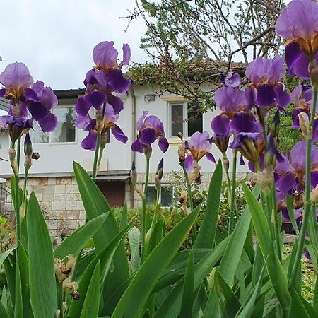 Стая За Гости "Ирина" Balchik Esterno foto