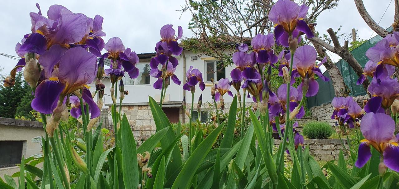 Стая За Гости "Ирина" Balchik Esterno foto